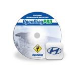 El módulo de Hyundai
